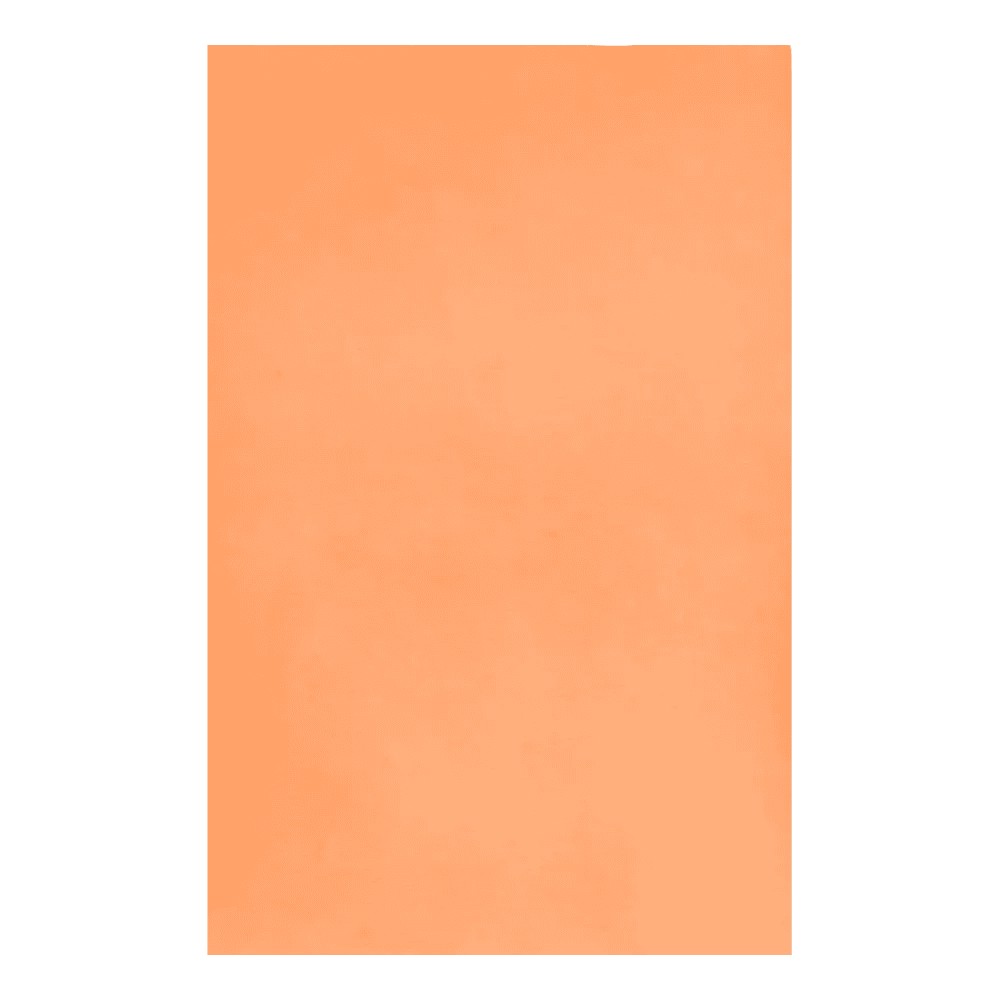 Bild von Einweg Tray-Filterpapier – Dentalkrepp aus Zellstoff