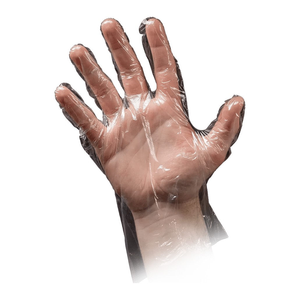 Bild von PE Einweghandschuhe transparent, gehämmert, Premium