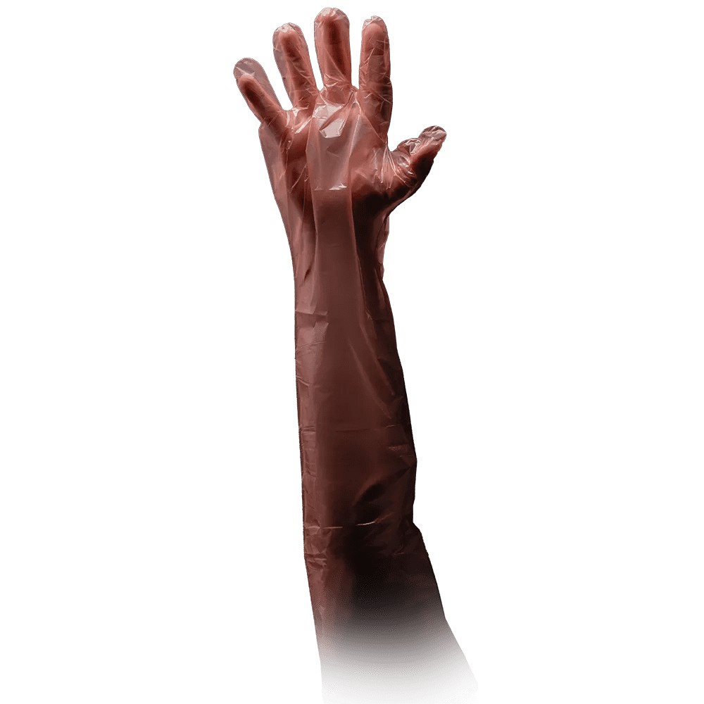 Bild von PE Veterinärhandschuh, orange, Größe unisize, Med-Comfort