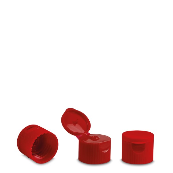 Bild von Klappscharnierverschluss PP ND25, rot (Loch 3,0 mm)