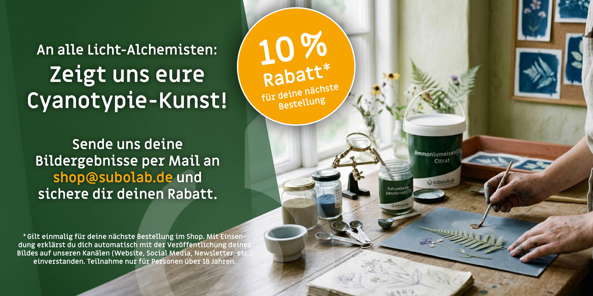 Haushaltshelfer im Fokus – Die Alltagshelden für ein sauberes Zuhause