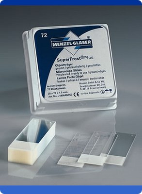Bild von Objektträger SuperFrost, 76x26mm, gelb, geschnitten, Pck à 50